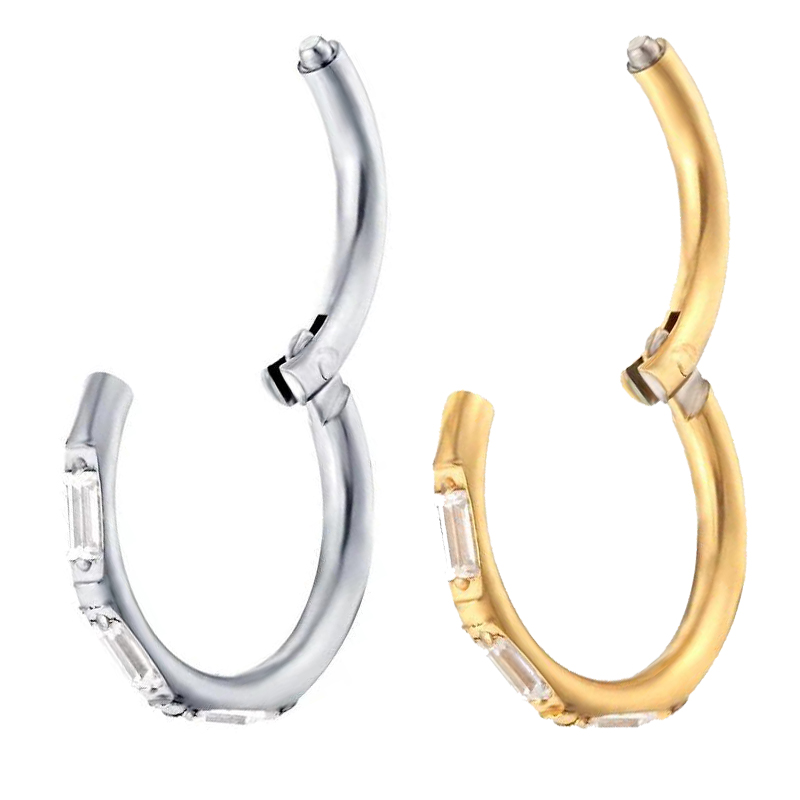 ASTM F136 チタンイヤリング高品質ジルコンハイトセグ - Body Jewelry Quality のレビューと価格