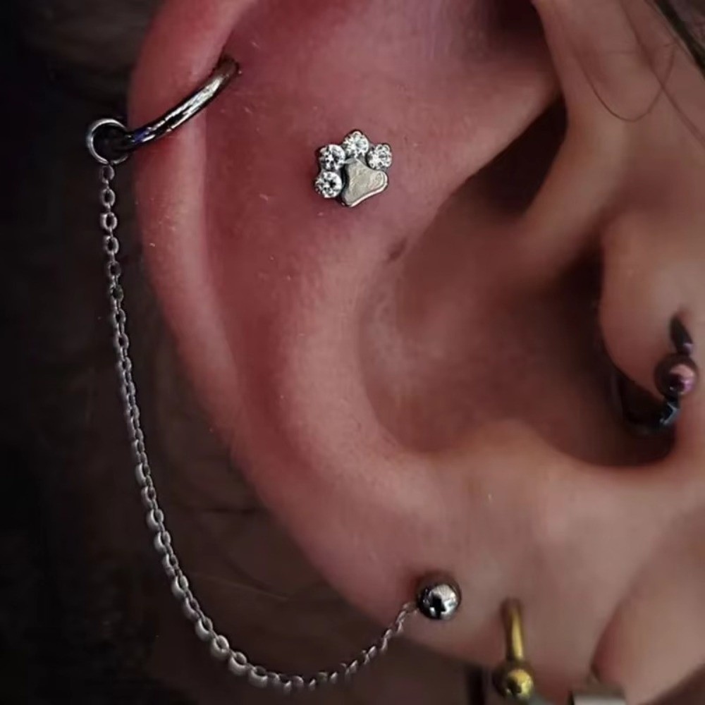 チタン製ノーズチェーン 三層チェーン ダブルチェーン 鼻孔チ - Body Jewelry Ear のレビューと価格