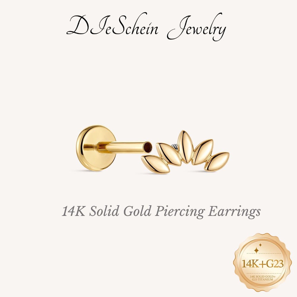 DIeSchein 14Kソリッドゴールドスタッドピアス 本 - Body Jewelry Ear のレビューと価格