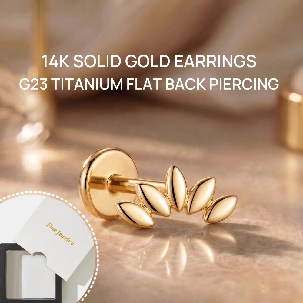 DIeSchein 14Kソリッドゴールドスタッドピアス 本 - Body Jewelry Ear のレビューと価格